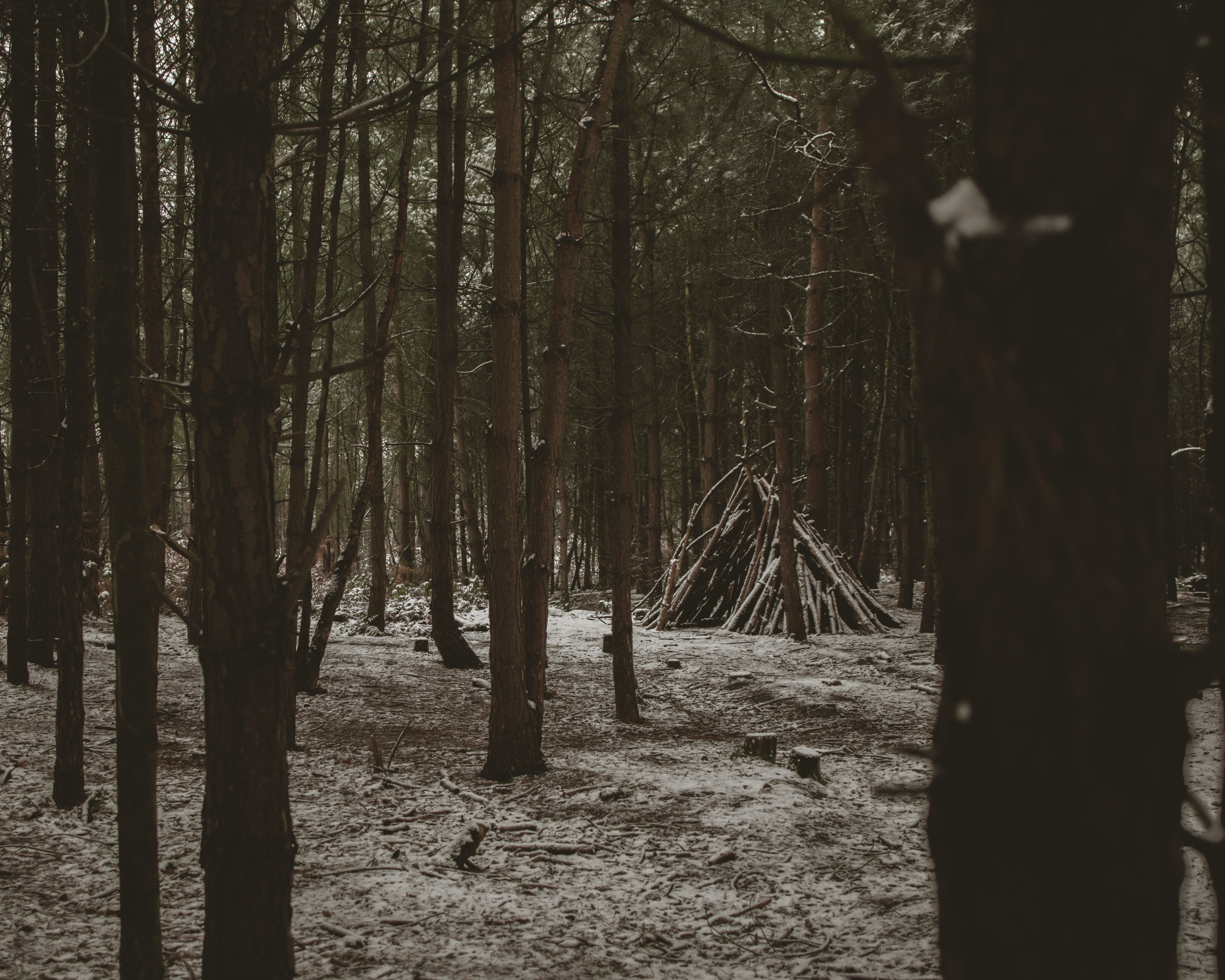 Mental vs Physical Strength: What's Most Valuable in Dangerous Survival Situations